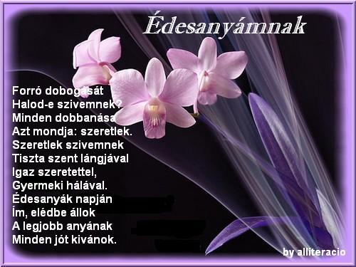 network.hu