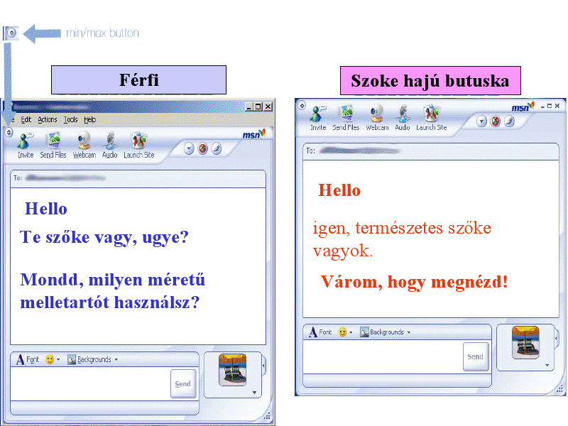 network.hu