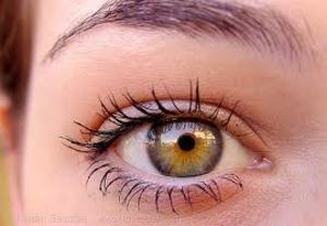 A mikro-szemsebészeti műtétek fejlődése, A szemek látásjavulást helyeznek el