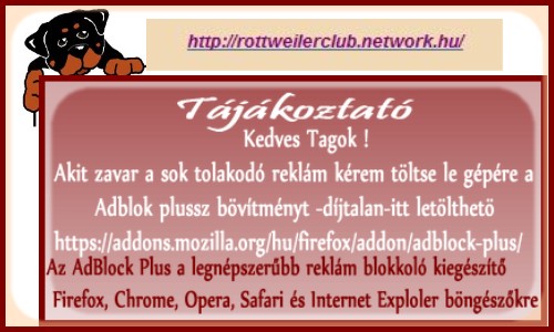 network.hu