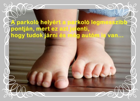 network.hu