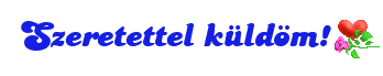 network.hu