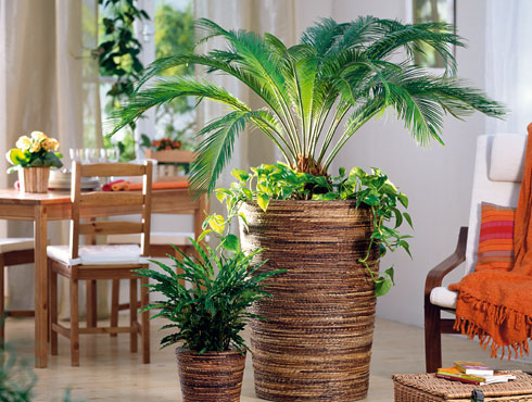 Feng shui blog: feng shui