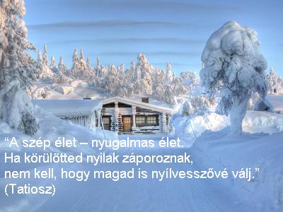 network.hu