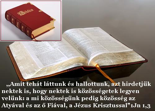 network.hu