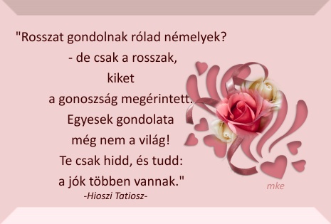 network.hu