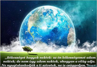 network.hu