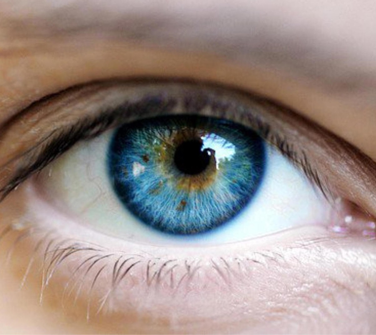 az egyik szem látása sötétebb alkalmazás a látás javítására