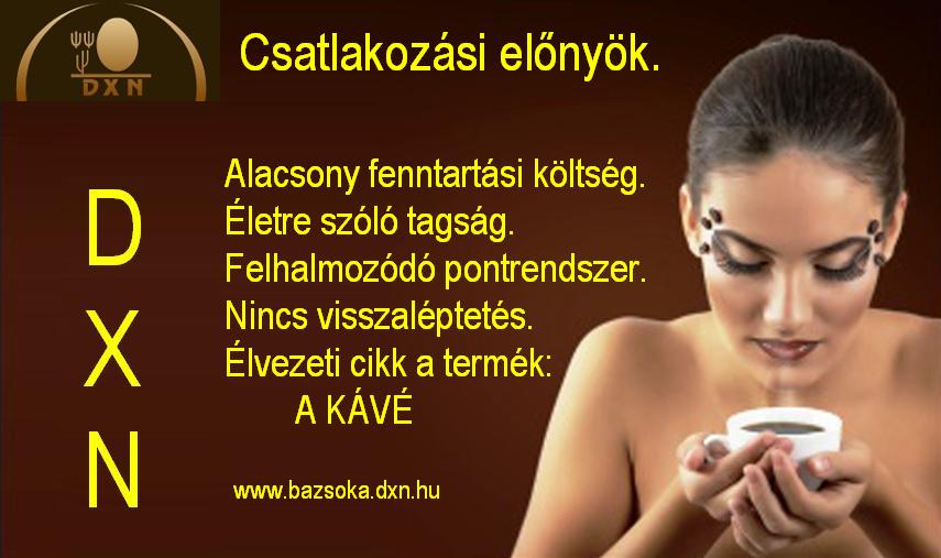 network.hu