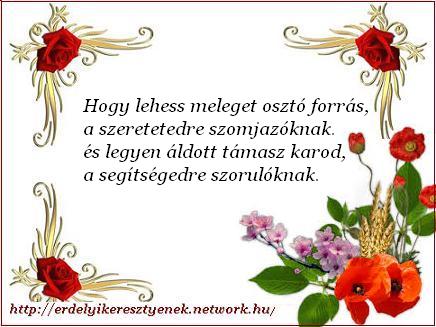 network.hu