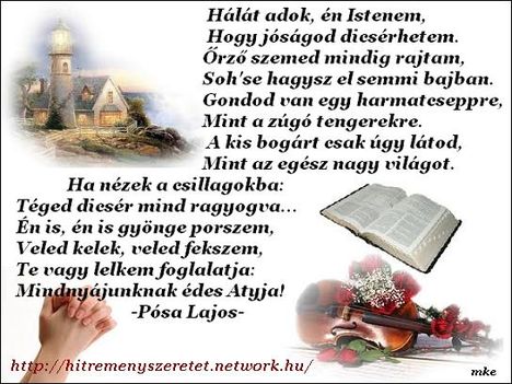 network.hu