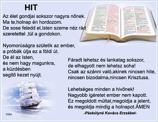 network.hu