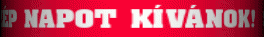 network.hu