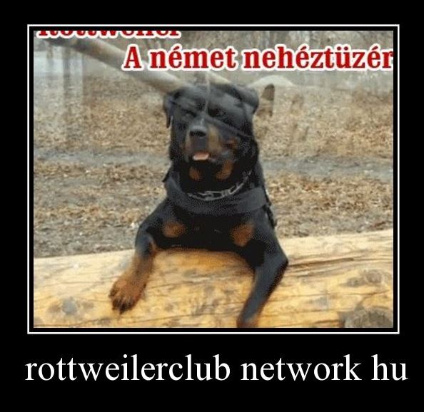 network.hu