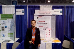 network.hu