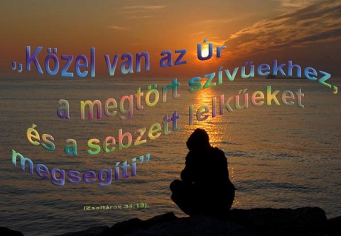 network.hu