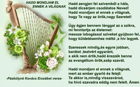 network.hu