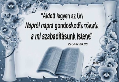 network.hu