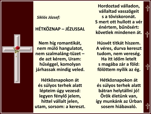network.hu