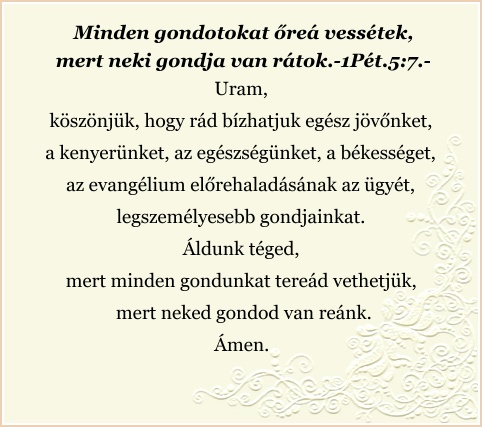 network.hu