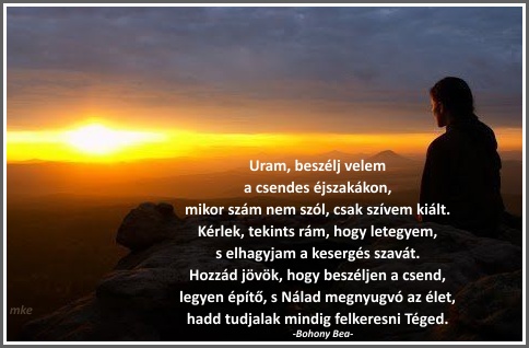 network.hu