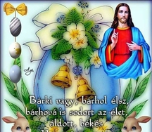 674443_16_a8dfad86f6f32c0e6b0f17_c