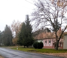 2200558_13_8ed305cb5cc496c024488_c