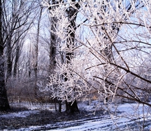 2200841_13_ffae90abf12d84b20f64b_c