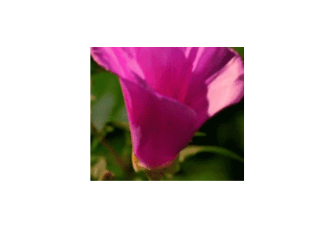 597449_13_85959aa8946277a8594ace_c