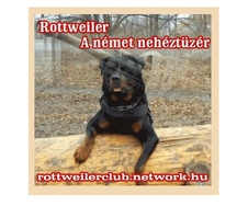 148737_16_a1fc4c796116ca5e1dfb0d_c