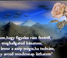 2199418_13_59df8b15aa364082e92a1_c