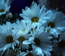 2199848_13_d4b3cafd4e751953386c0_c