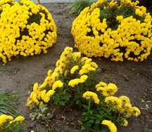 2200602_13_7632970d75818e952d7d4_c