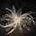 15629_6bca5a5454cd_s