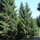 16704_6ac9d8188d8b_s