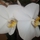 176807_81a3d5fb3d43_s
