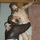 177317_92dd8e986b0d_s