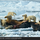 177372_0cb04bc39b7e_s