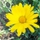 177525_2acf5ad7f6d1_s