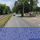 177584_486a728f8099_s