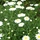 177646_a2694418ad47_s