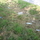 19492_1d8e4b581fa7_s
