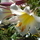 10882_70cb93722dd1_s