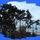 25033_10394c75cd2a_s