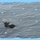 25035_a39ac8d42438_s