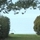 25463_6af2f8713c12_s