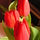 31121_ed3658caa438_s