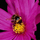 32468_87f3a49d1dd2_s
