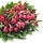 36523_2abed9e2c29d_s