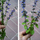 36836_1e2df0a5d570_s